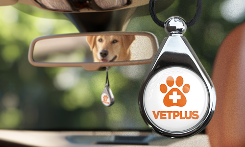 Auto-Lufterfrischer mit Markenlogo am Rückspiegel aufgehängt