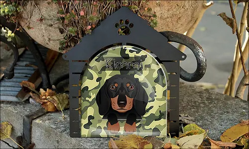 gallery-cats-picture-frame-9