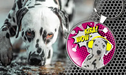 gallery-keychain-pet-comic-3