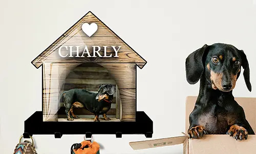 Galerijní držák na klíče na stěnu s designem domu kočky a psa 3