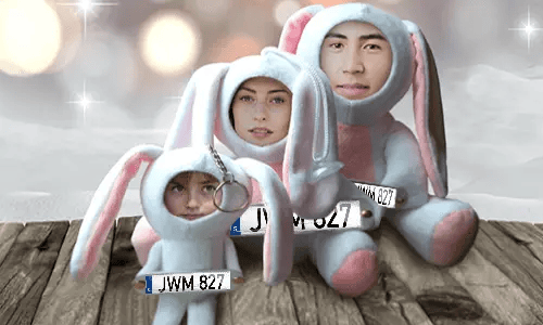 Car Photo Stuff Toy Bunny