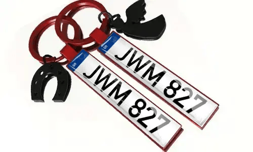 Llaveros metálicos con números de placa de matrícula y accesorios