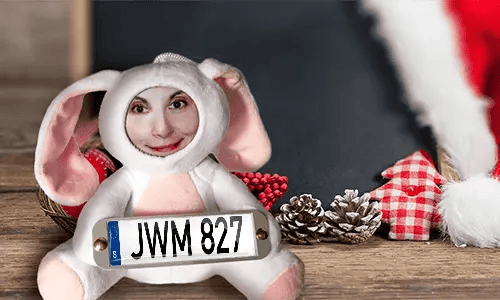 Cuddly toy with photo with license plate as a gift
